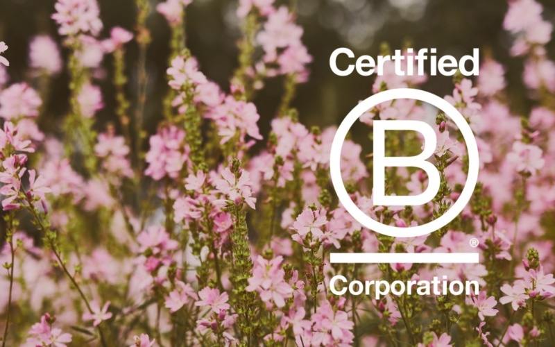 BLOOMON REWARDED WITH OFFICIAL B CORP STATUS*